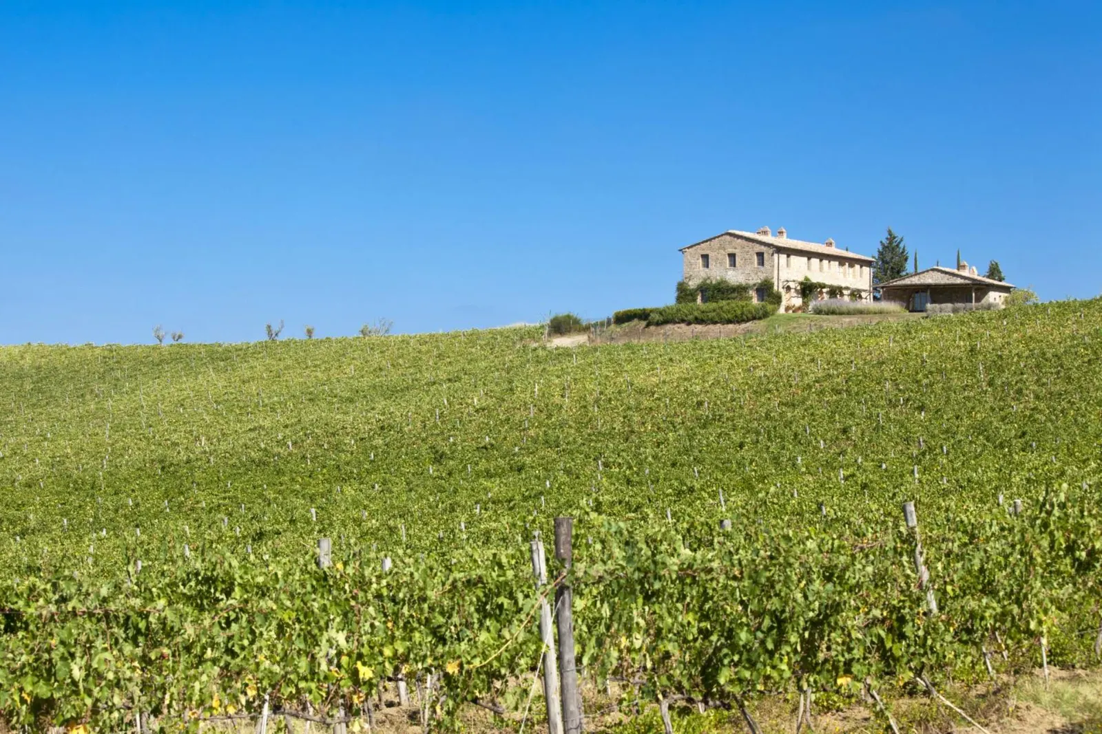 Vilă cu 4 dormitoare în Toscana, fotografia 5