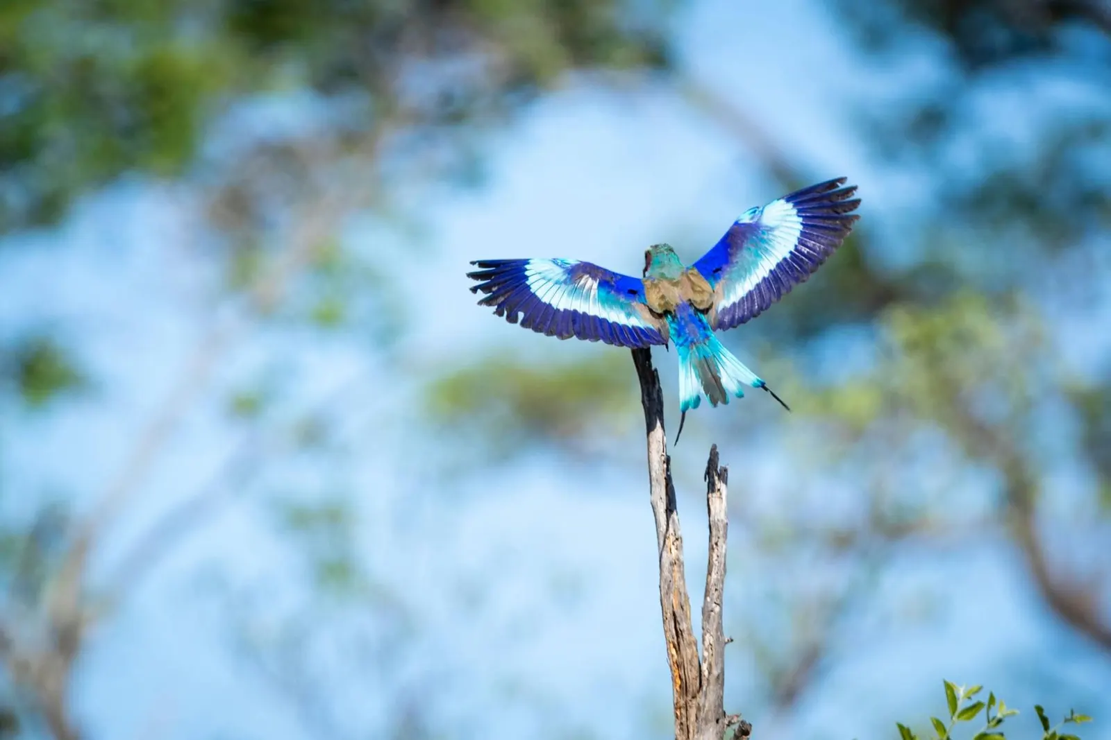 Vilă cu 4 dormitoare în Africa de Sud, fotografia 19