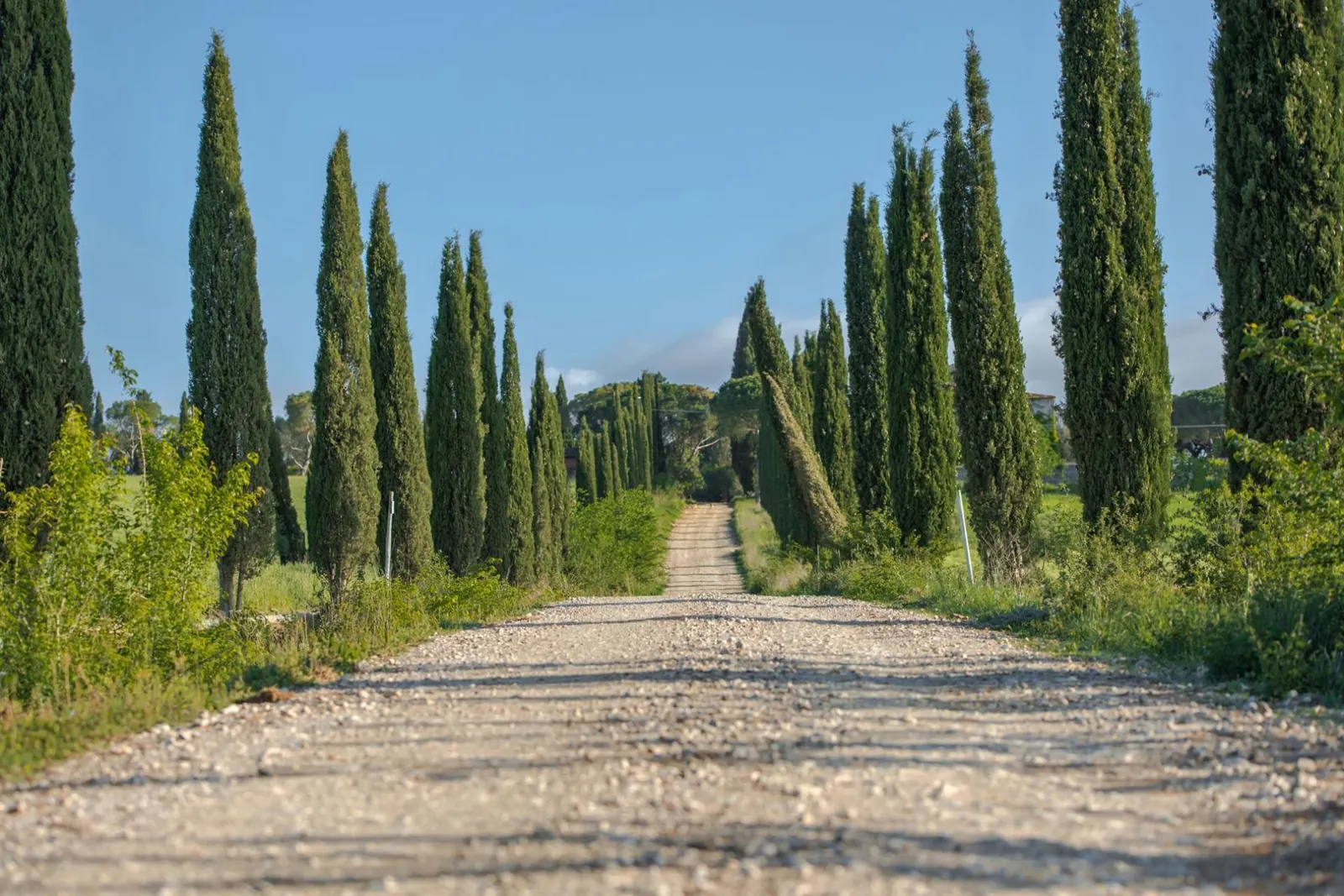 Vilă cu 7 dormitoare și piscină, Gavorrano, Toscana, fotografia 46
