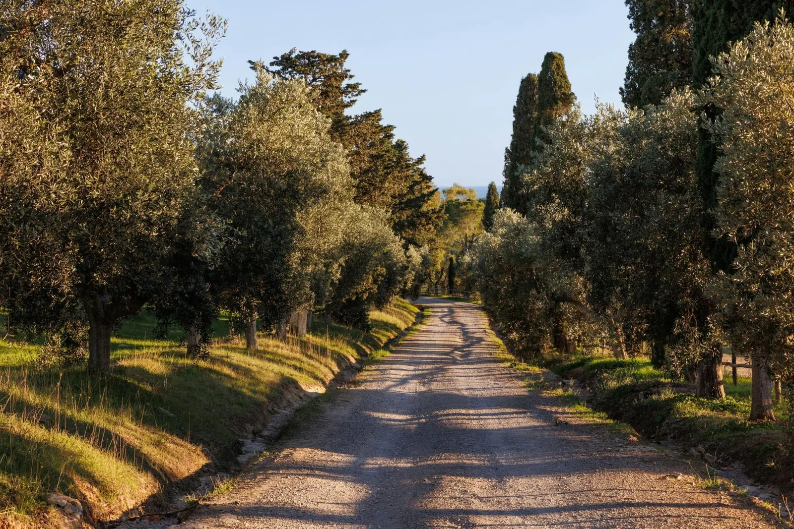 Vilă pentru 10 persoane în Pescia Fiorentina, fotografia 33