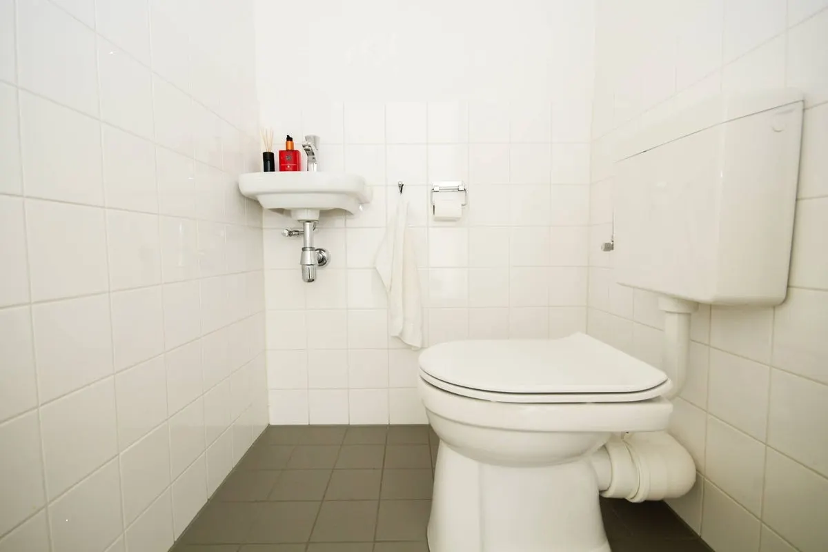 Apartament cu spa și grădină în Rotterdam, fotografia 8