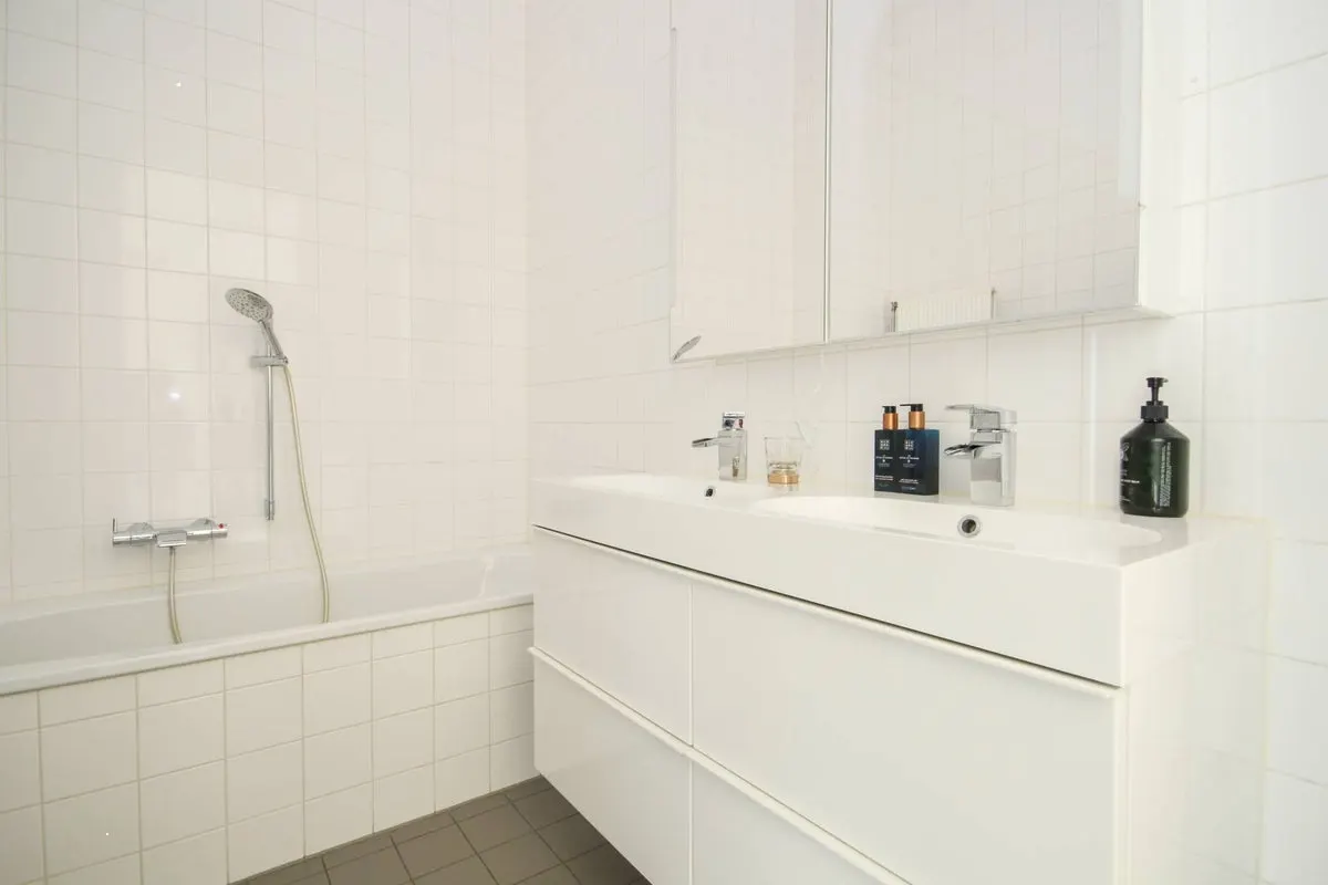 Apartament cu spa și grădină în Rotterdam, fotografia 13