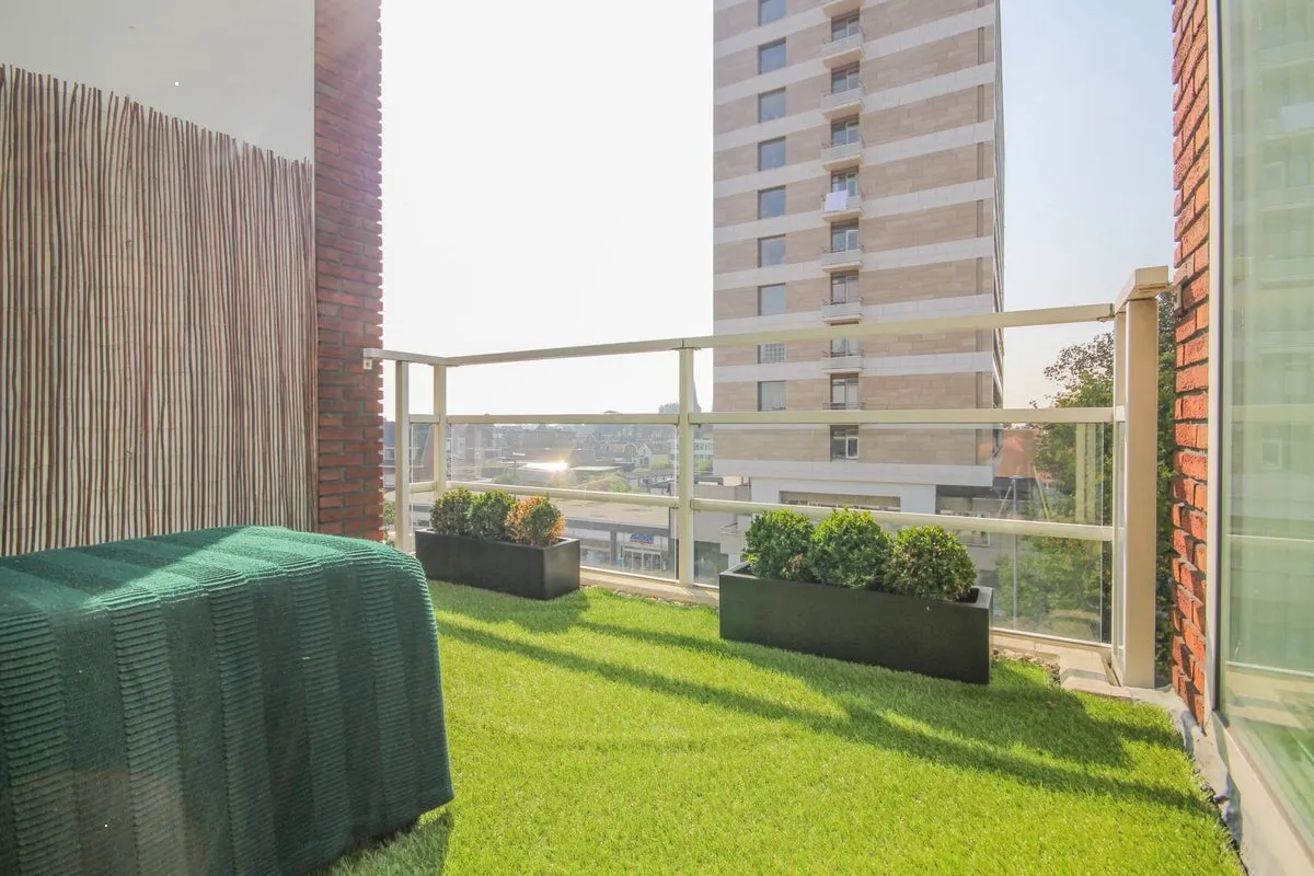 Apartament cu spa și grădină în Rotterdam, fotografia 6