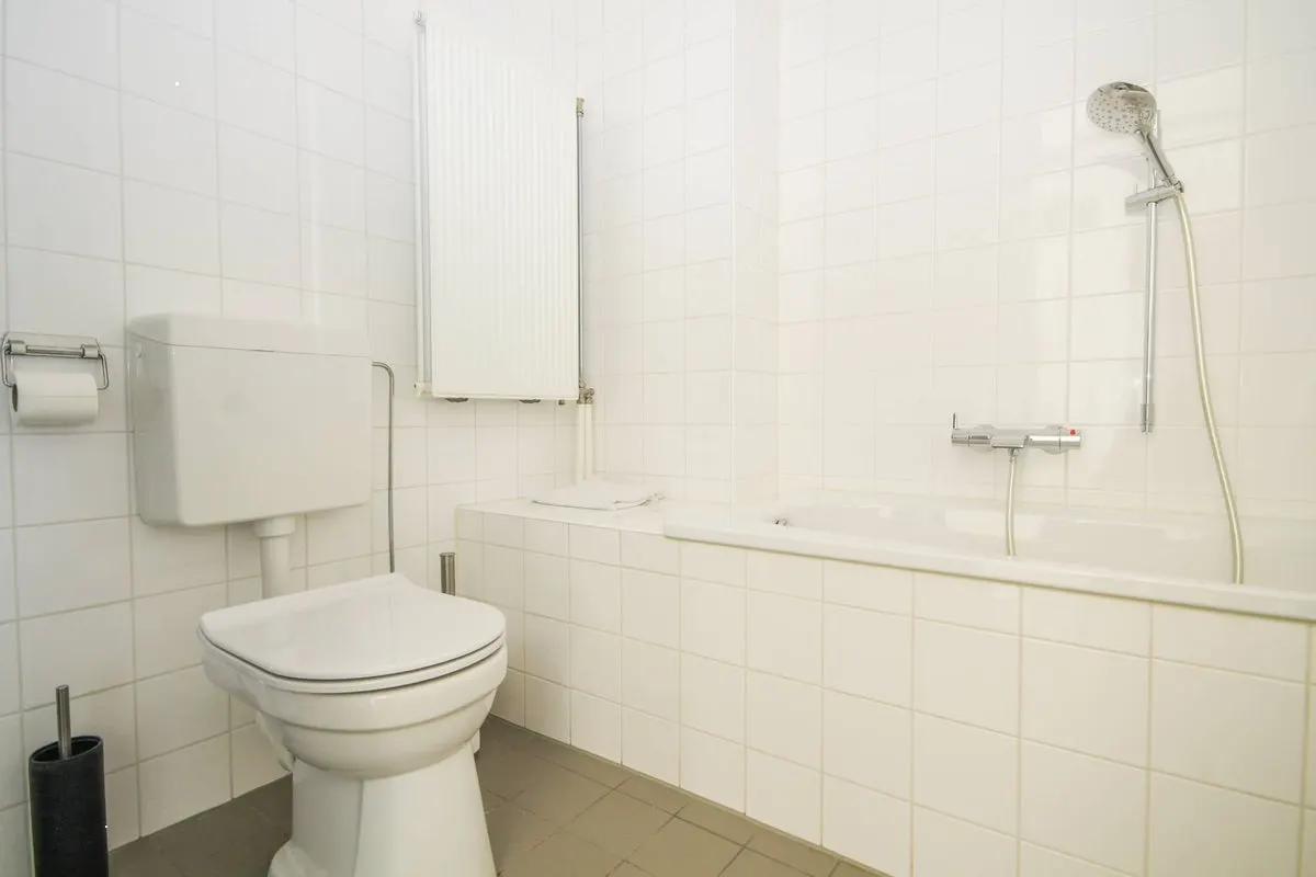 Apartament cu spa și grădină în Rotterdam, fotografia 12