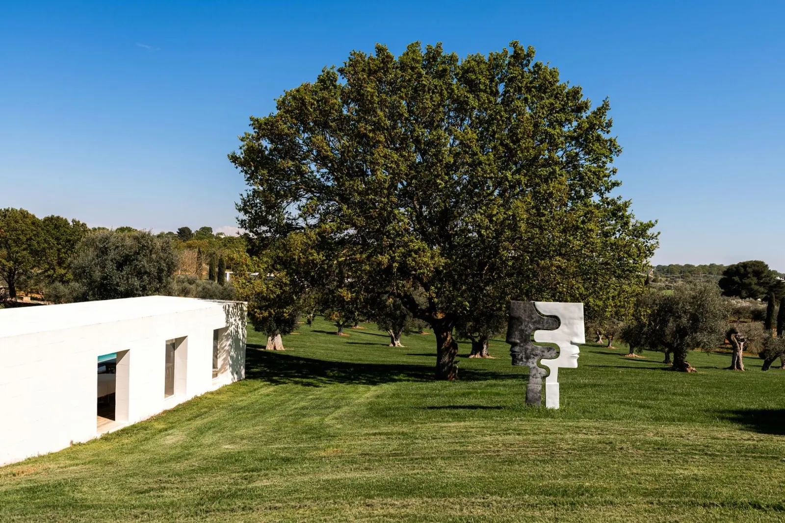 Vilă cu 9 dormitoare în Ostuni, fotografia 9