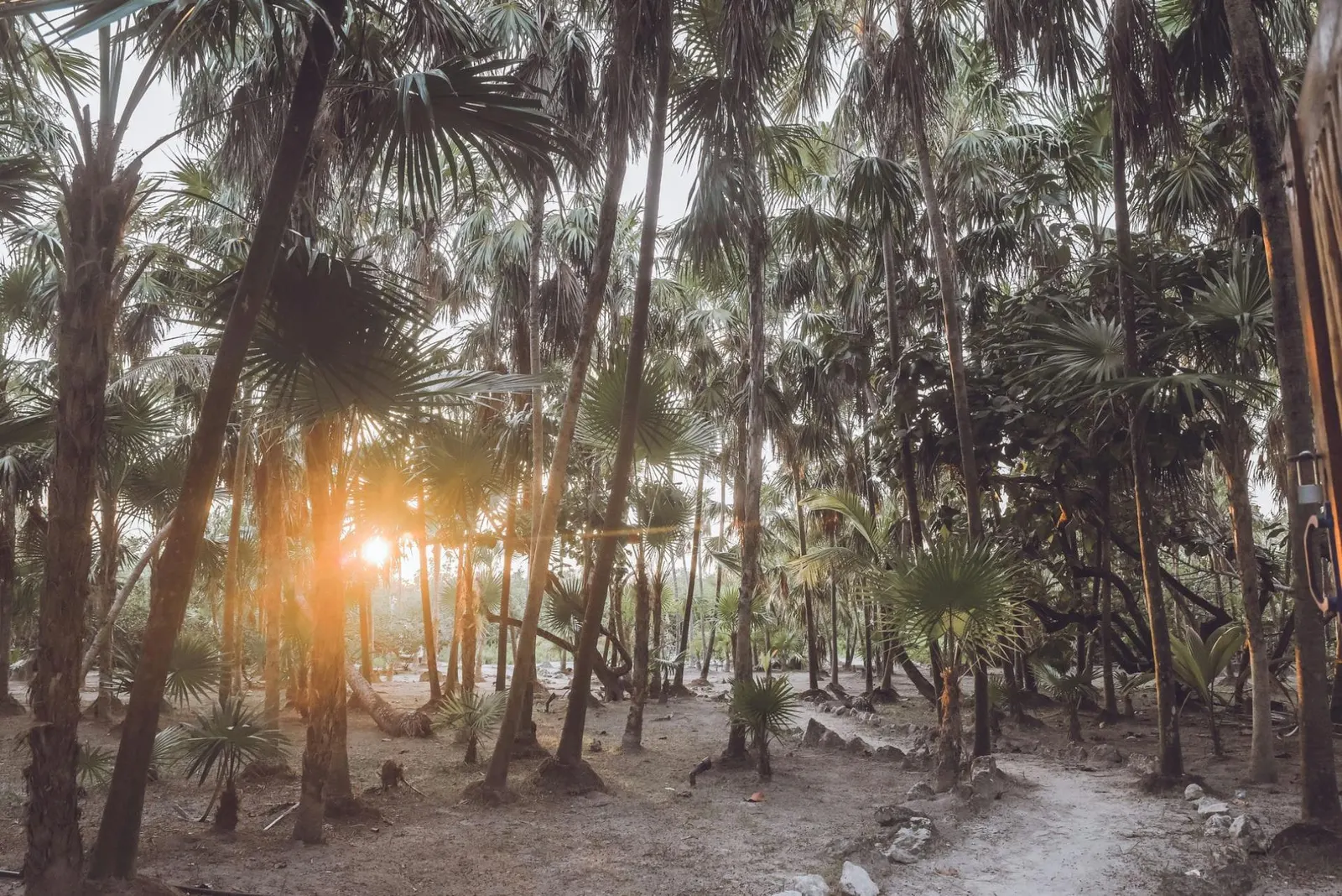 Vilă cu 4 dormitoare în Tulum, fotografia 12