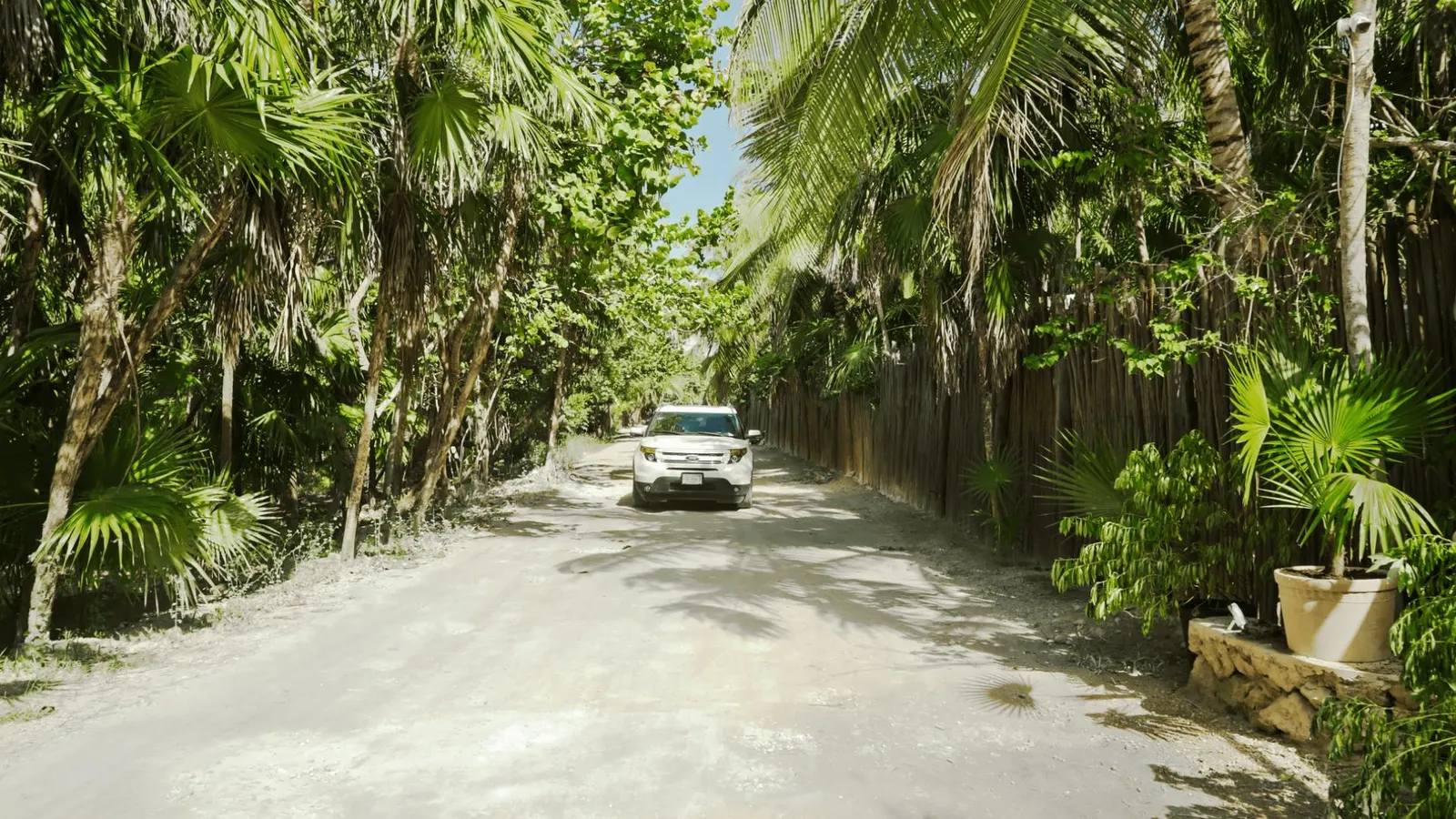 Vilă cu 4 dormitoare în Tulum, fotografia 14