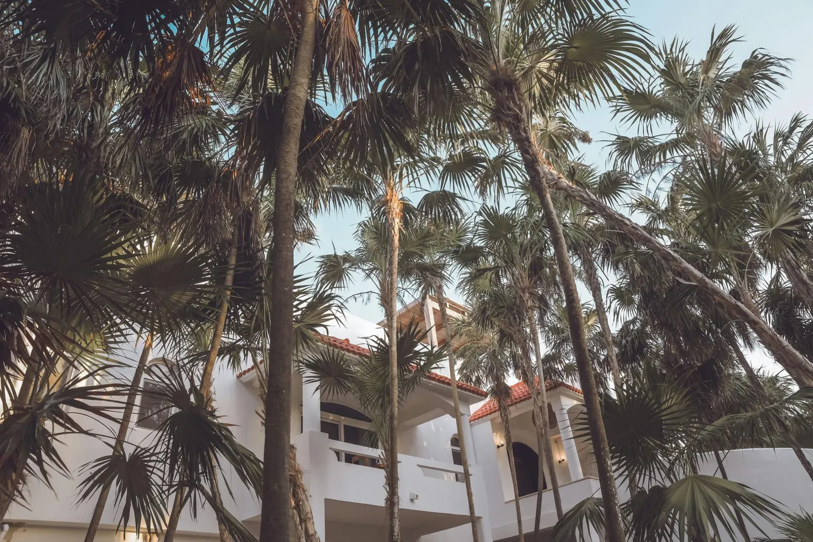 Vilă cu 4 dormitoare în Tulum, fotografia 11