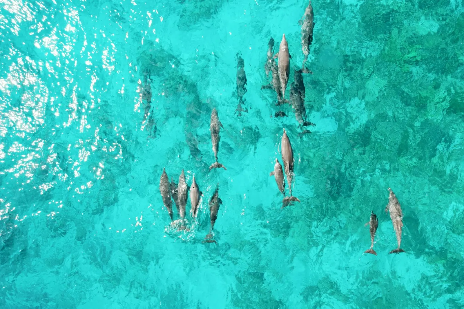 Vilă cu 4 dormitoare în Maldive, fotografia 43