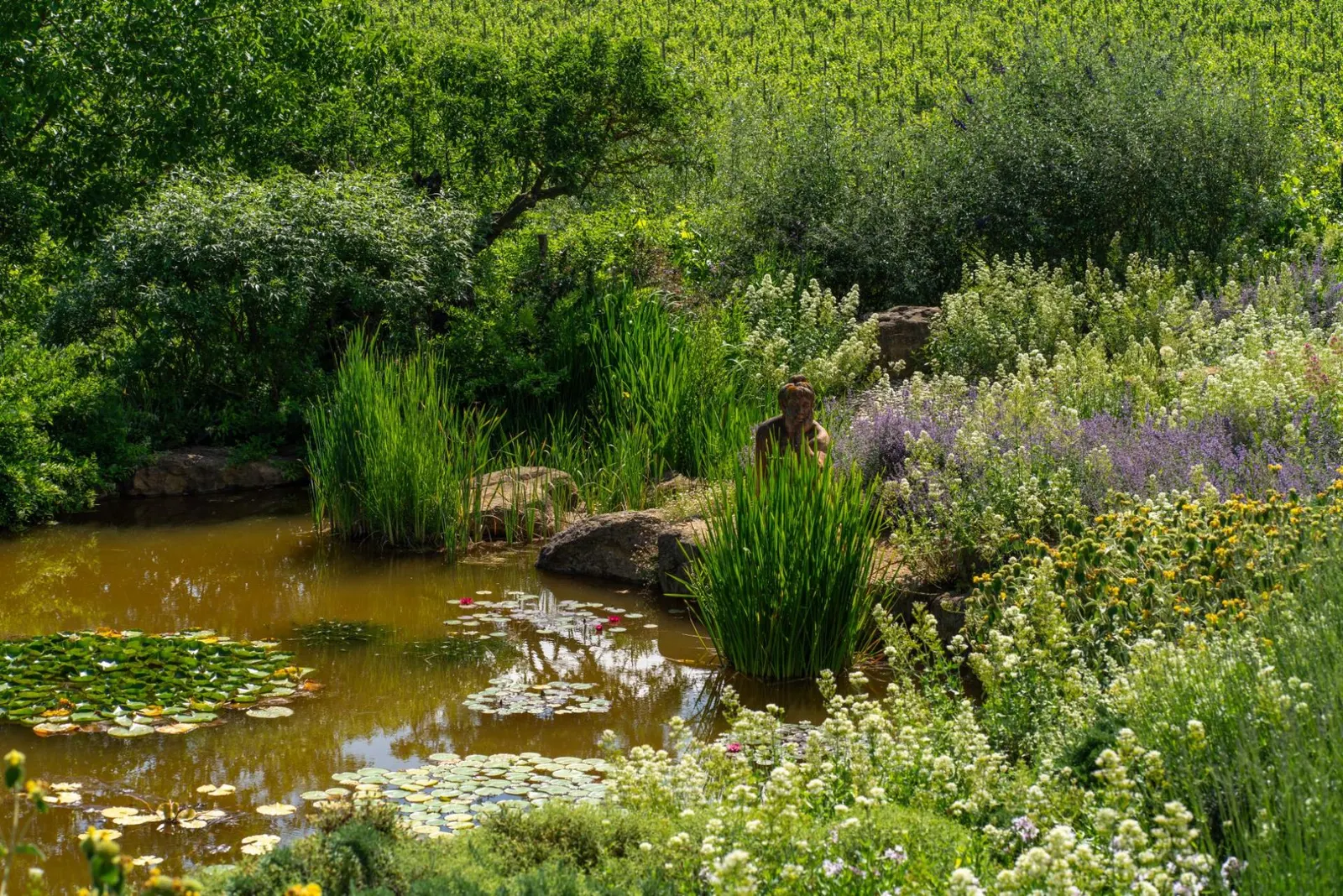 Vilă cu 6 dormitoare și piscină încălzită, Montepulciano, Toscana, fotografia 27