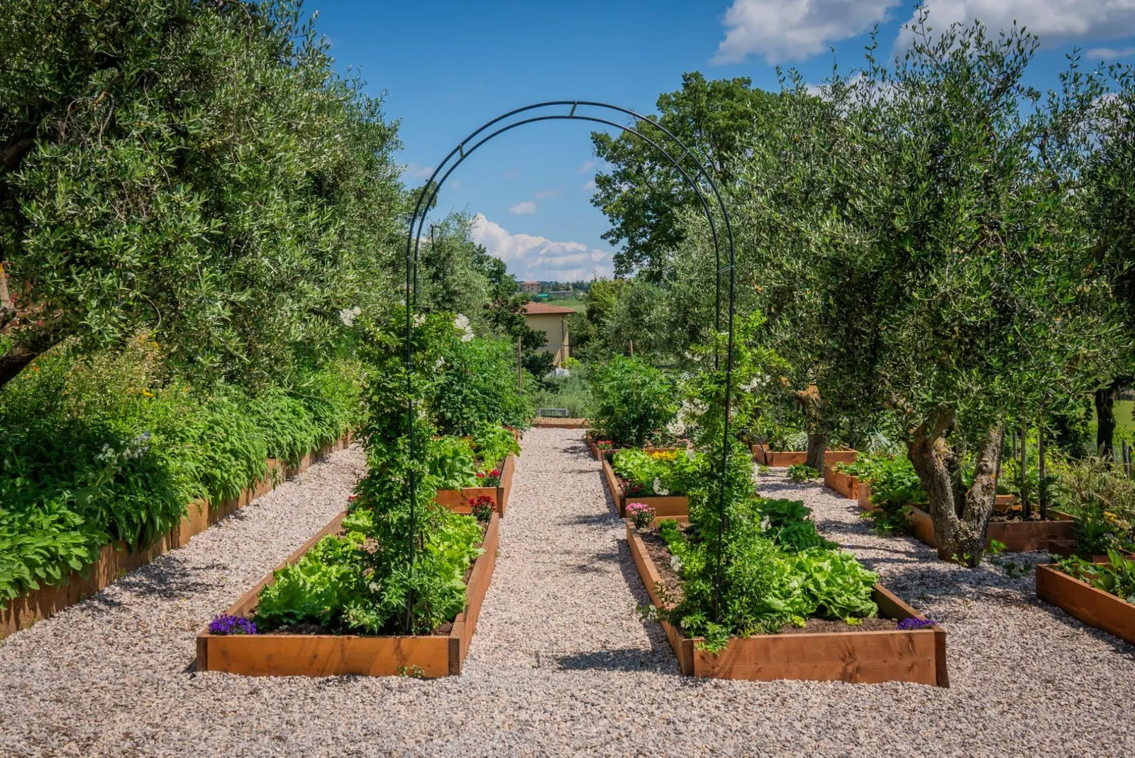 Vilă cu 6 dormitoare și piscină încălzită, Montepulciano, Toscana, fotografia 9