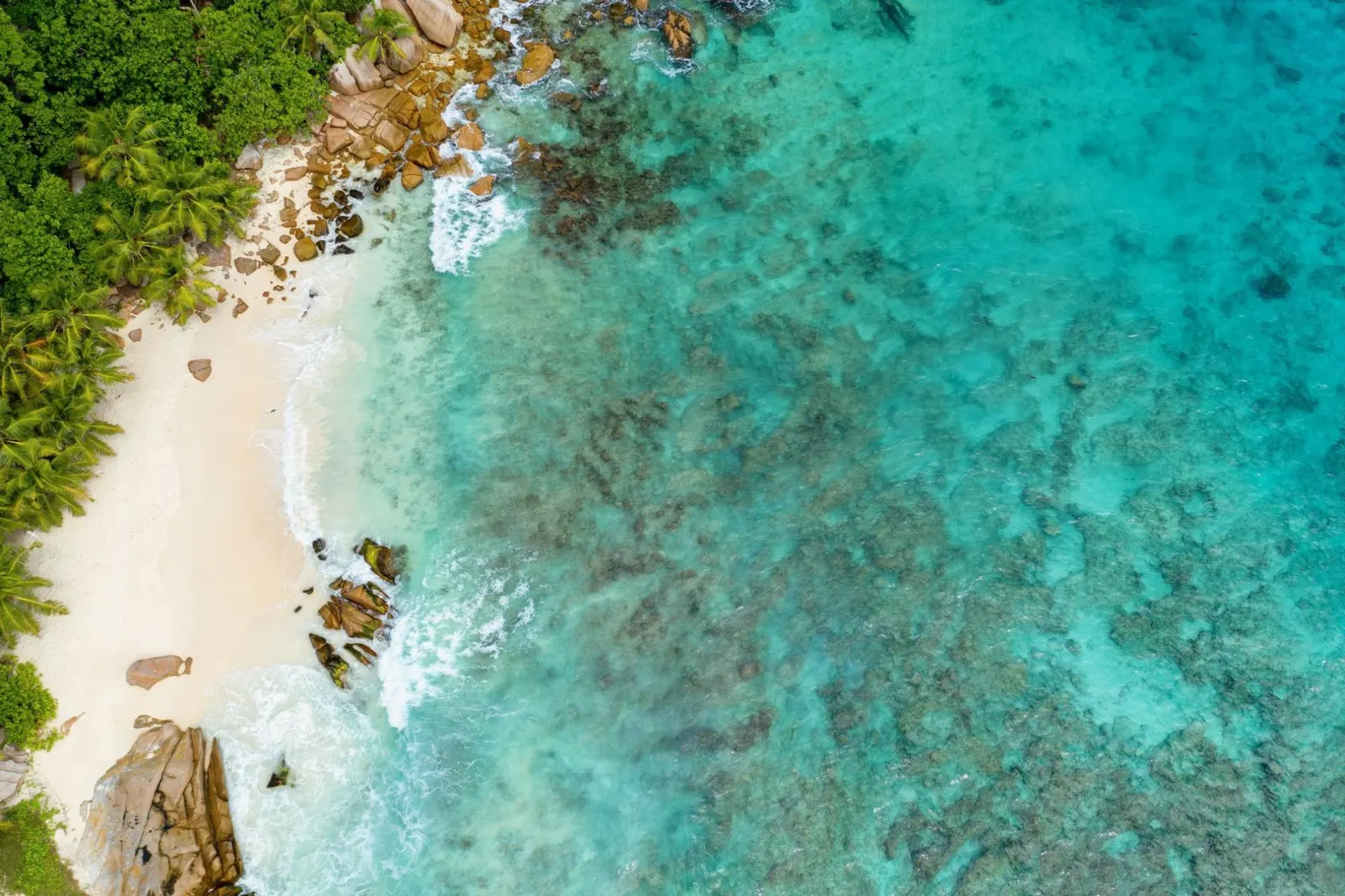 Vilă cu piscină în Grand Anse Praslin, fotografia 22