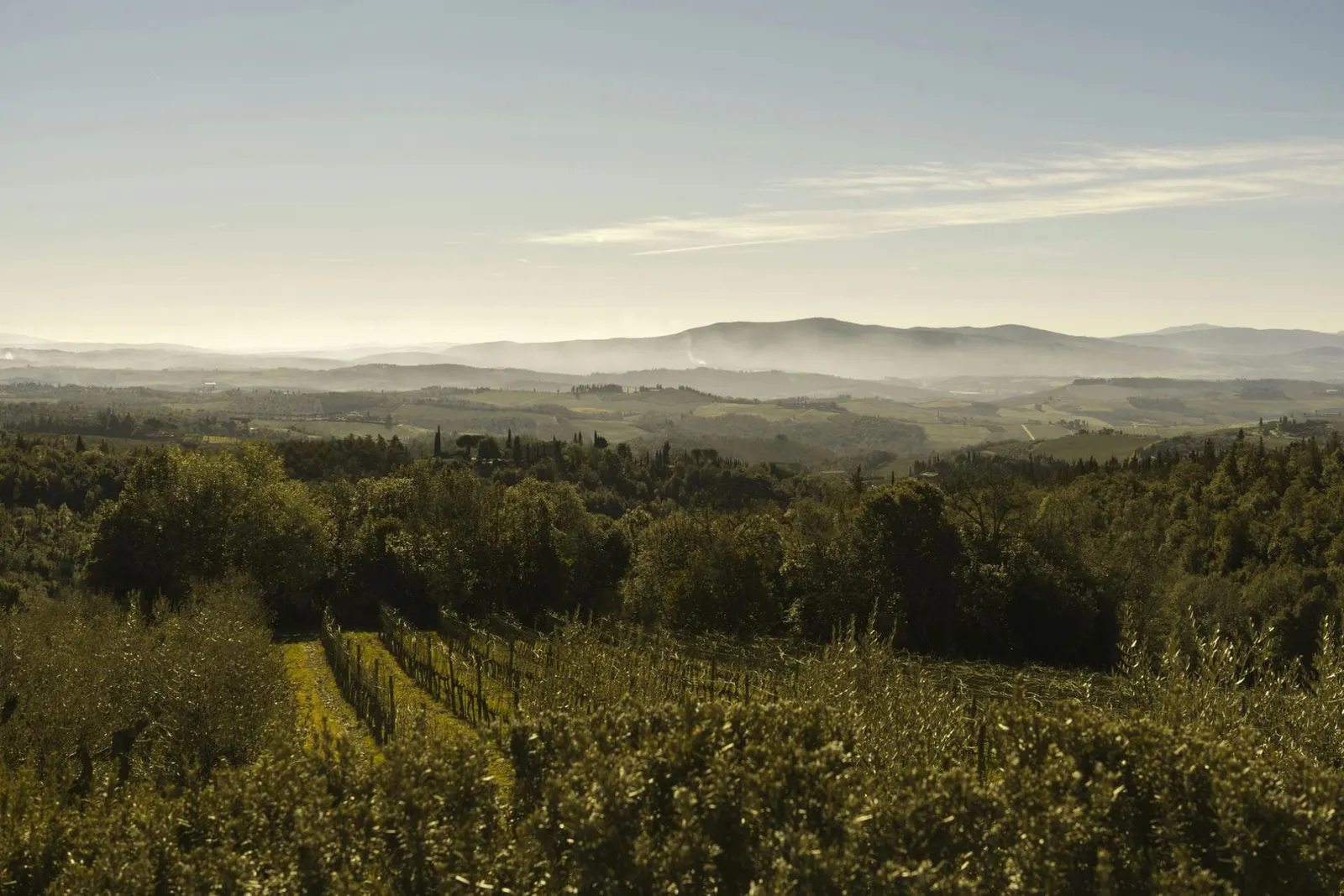 10-Bedroom Villa in Castellina in Chianti, photo 39