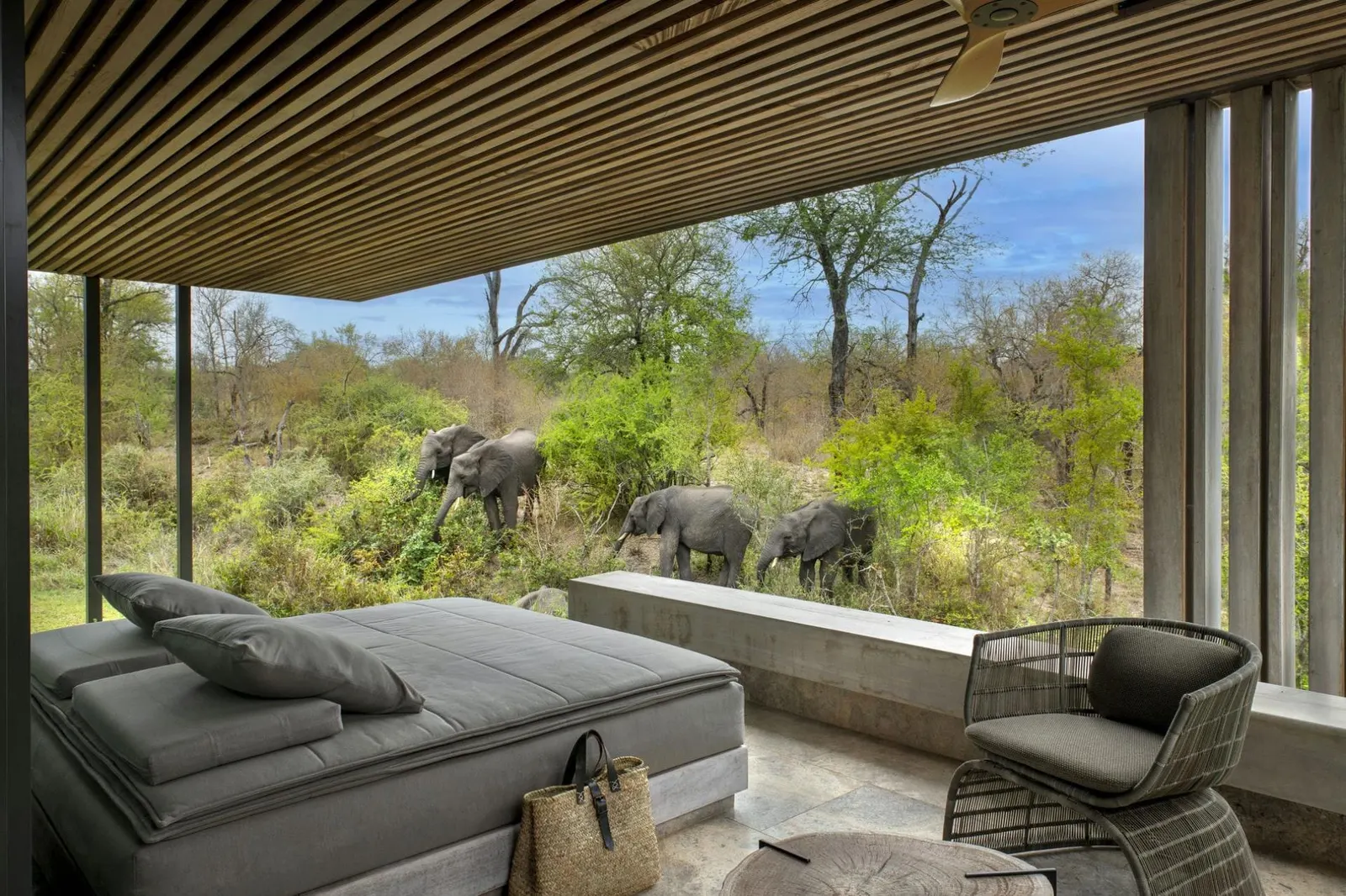Lodge cu piscină și vedere la munte în Bushbuckridge, fotografia 4