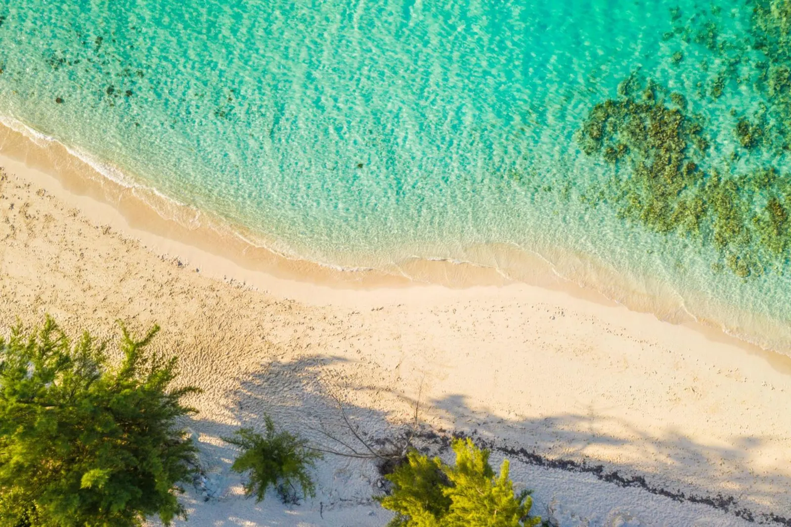 Vilă cu piscină încălzită în Providenciales, fotografia 28