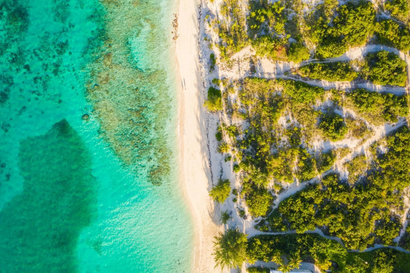 Vilă cu piscină încălzită în Providenciales, fotografia 27