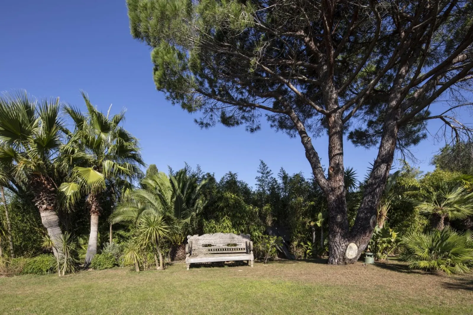 Vilă cu 9 dormitoare și piscină încălzită, Saint-Tropez, fotografia 10