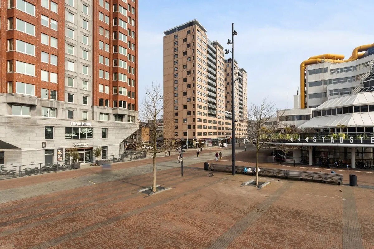 Apartament cu vedere la munte în Rotterdam, fotografia 20