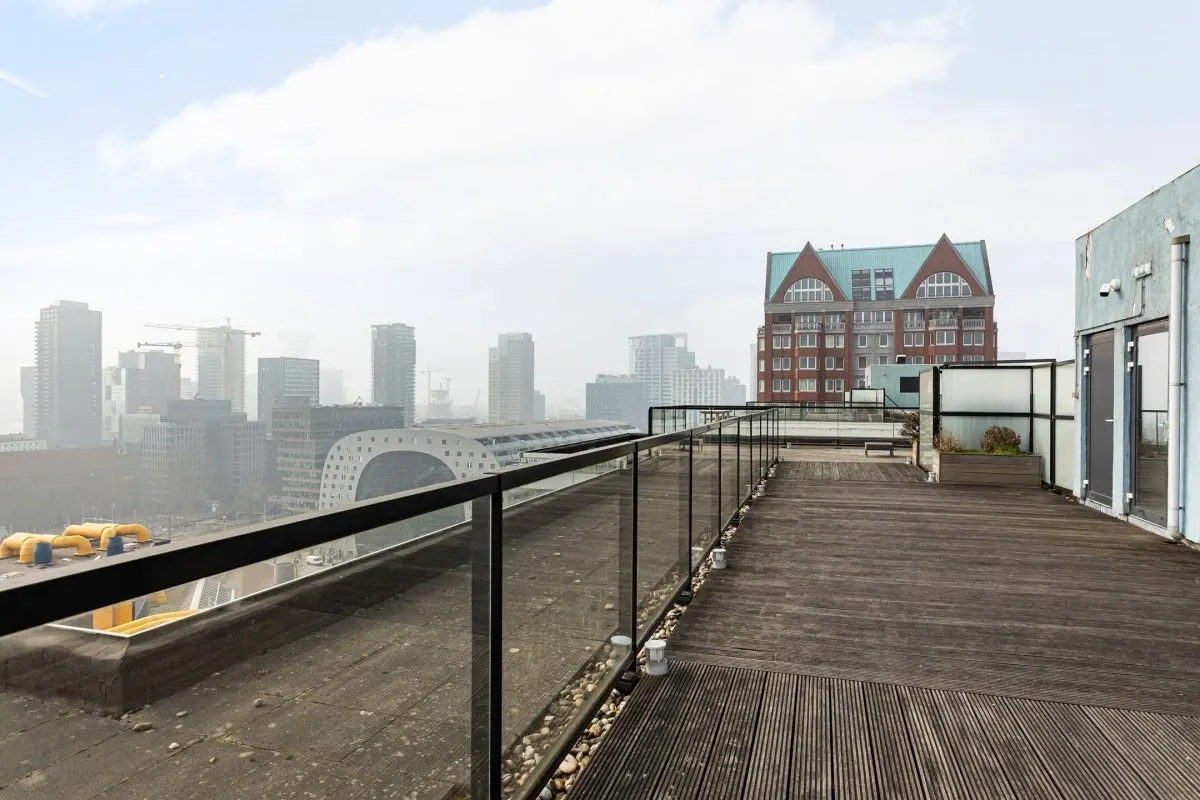 Apartament cu vedere la munte în Rotterdam, fotografia 17