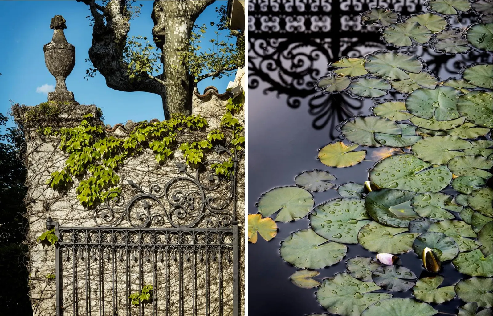 Vilă cu 6 dormitoare pentru 12 persoane, Tremezzina, fotografia 7