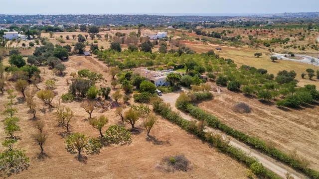 7 nopți la Villa for 8 Guests in Guia, fotografia 4