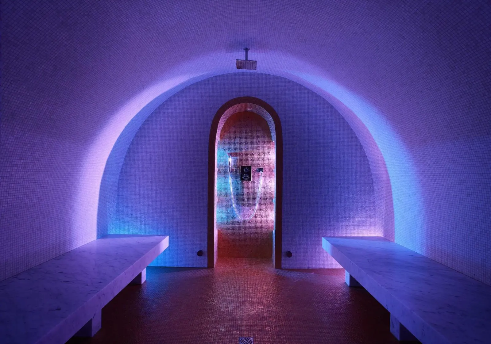 Chalet cu piscină interioară în La Daille, fotografia 20