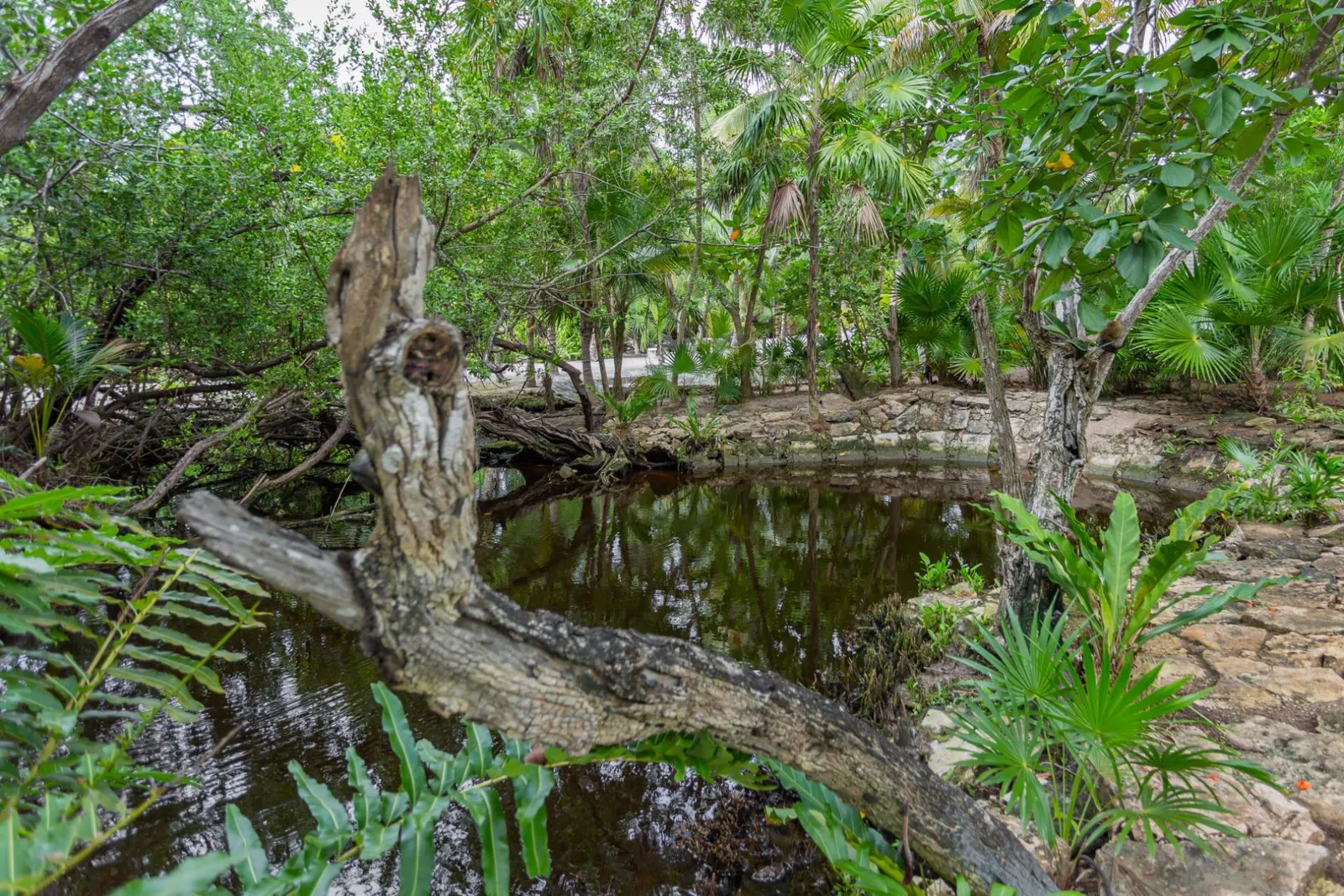 Vilă cu 4 dormitoare și piscină încălzită, Tulum, Quintana Roo, fotografia 13