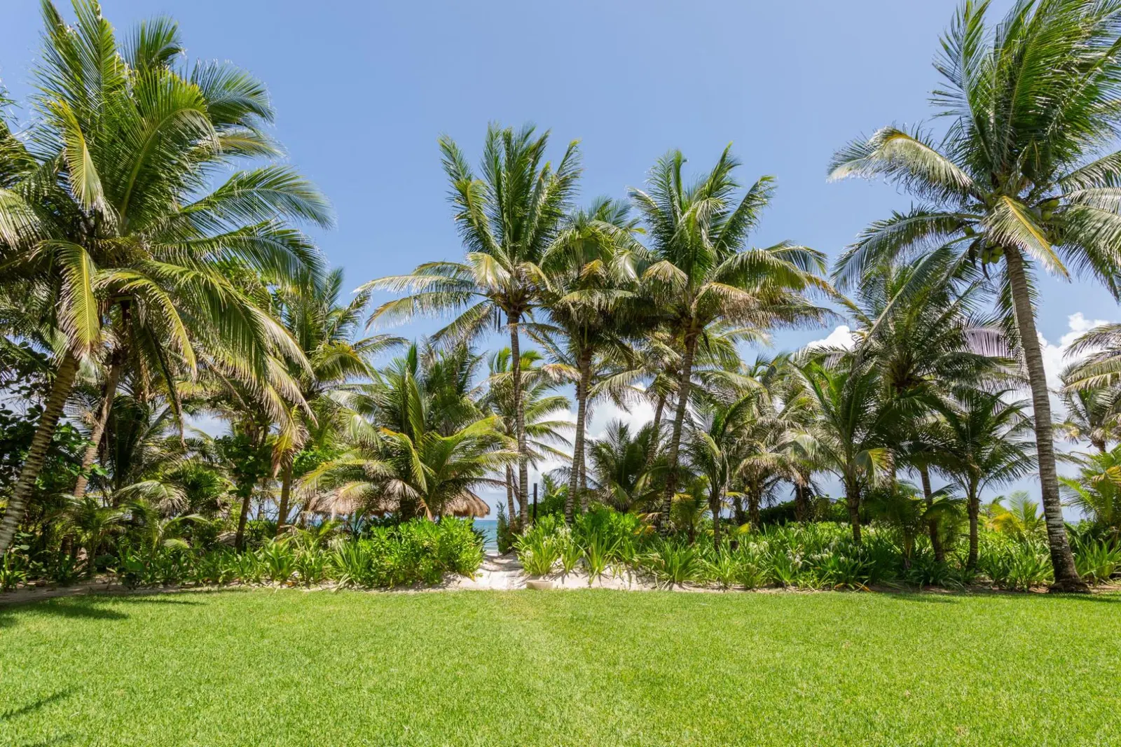 Vilă cu 4 dormitoare și piscină încălzită, Tulum, Quintana Roo, fotografia 14