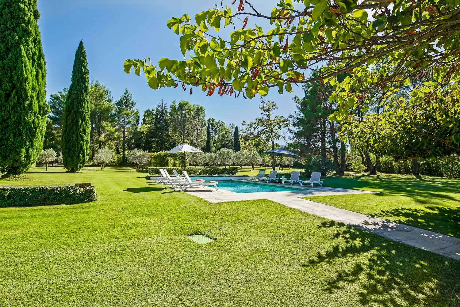 Vilă cu 5 dormitoare și piscină încălzită, Saint-Rémy-de-Provence, fotografia 4