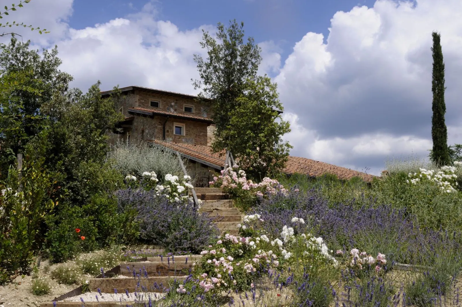 Villa with Swimming pool in Radicondoli, photo 4
