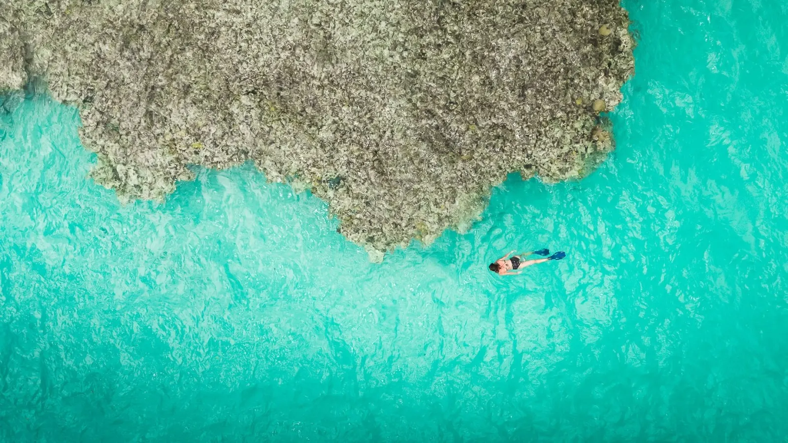 Vilă pentru 8 oaspeți în Harbour Island, fotografia 18