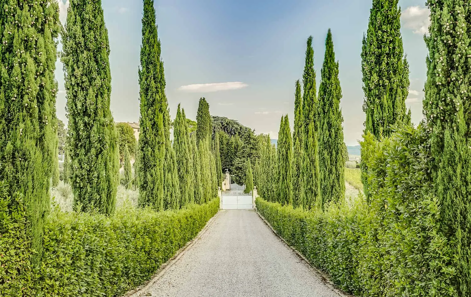 Vilă cu 6 dormitoare și piscină, Tavarnelle Val Di Pesa, fotografia 49