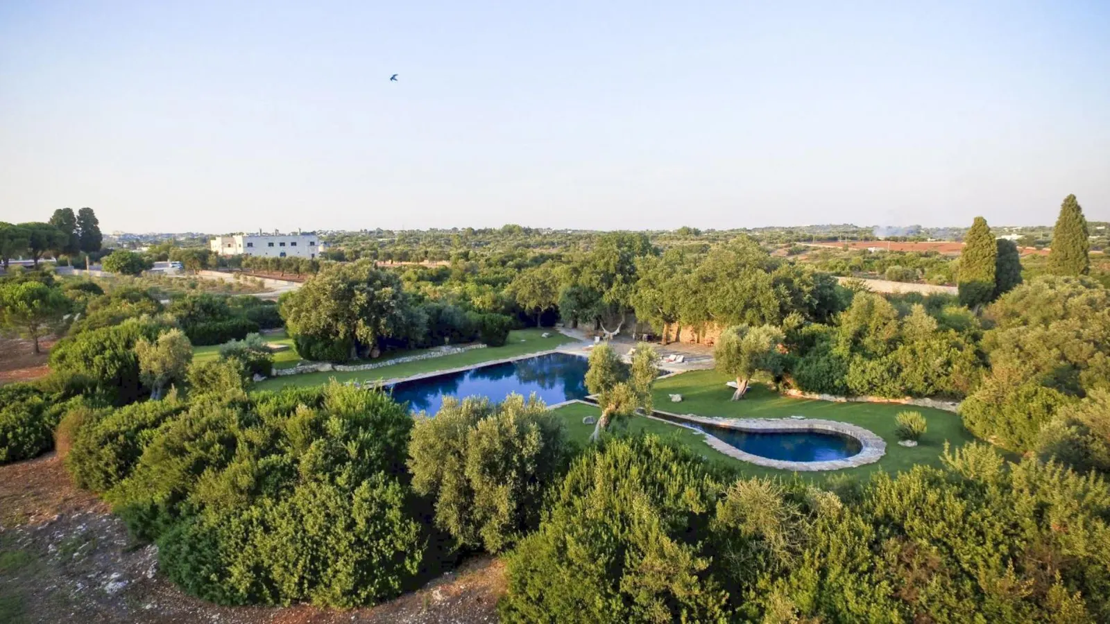 Vilă cu 6 dormitoare și piscină, Ostuni, fotografia 23