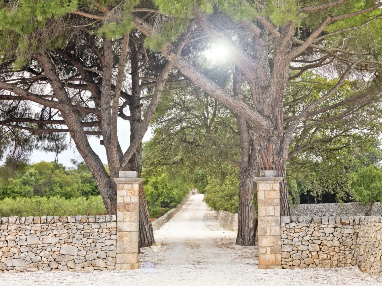 Vilă cu 6 dormitoare și piscină, Ostuni, fotografia 26