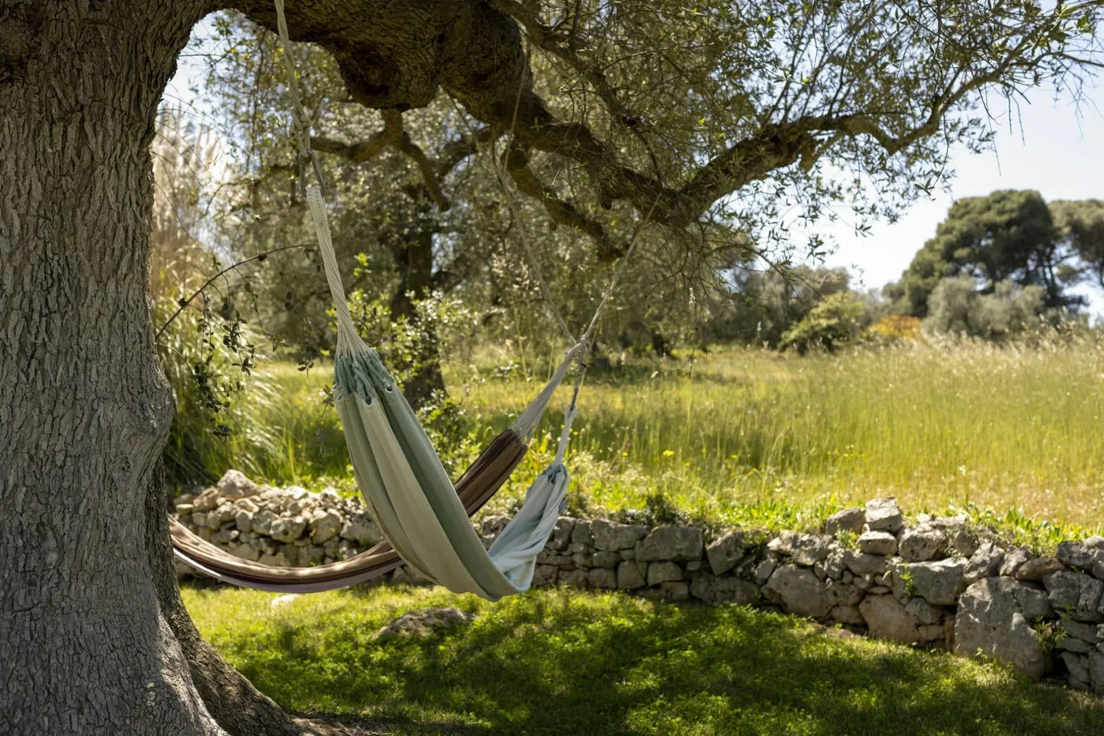 Vilă cu piscină în Ostuni, fotografia 9