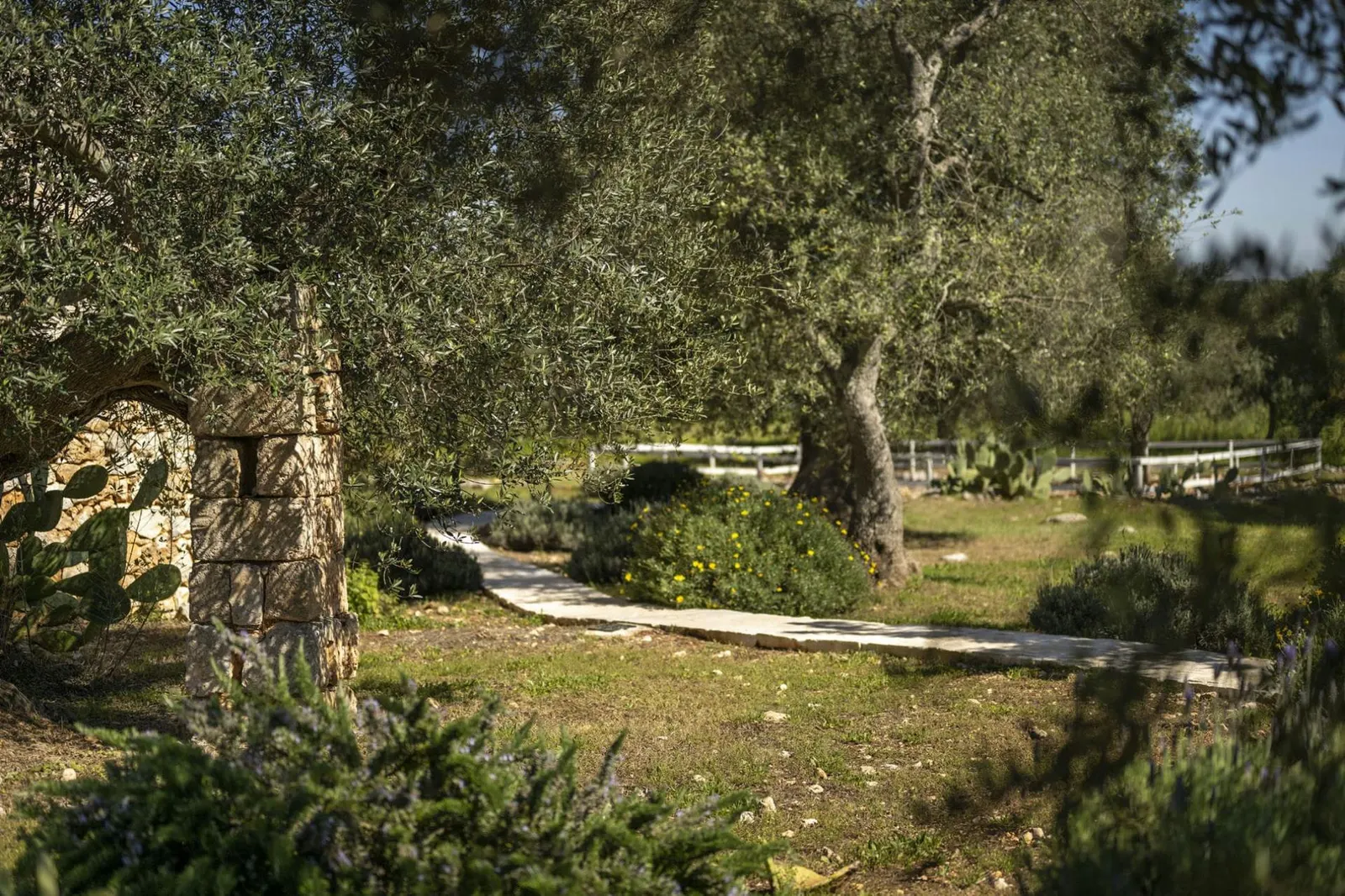 Vilă cu piscină în Ostuni, fotografia 14