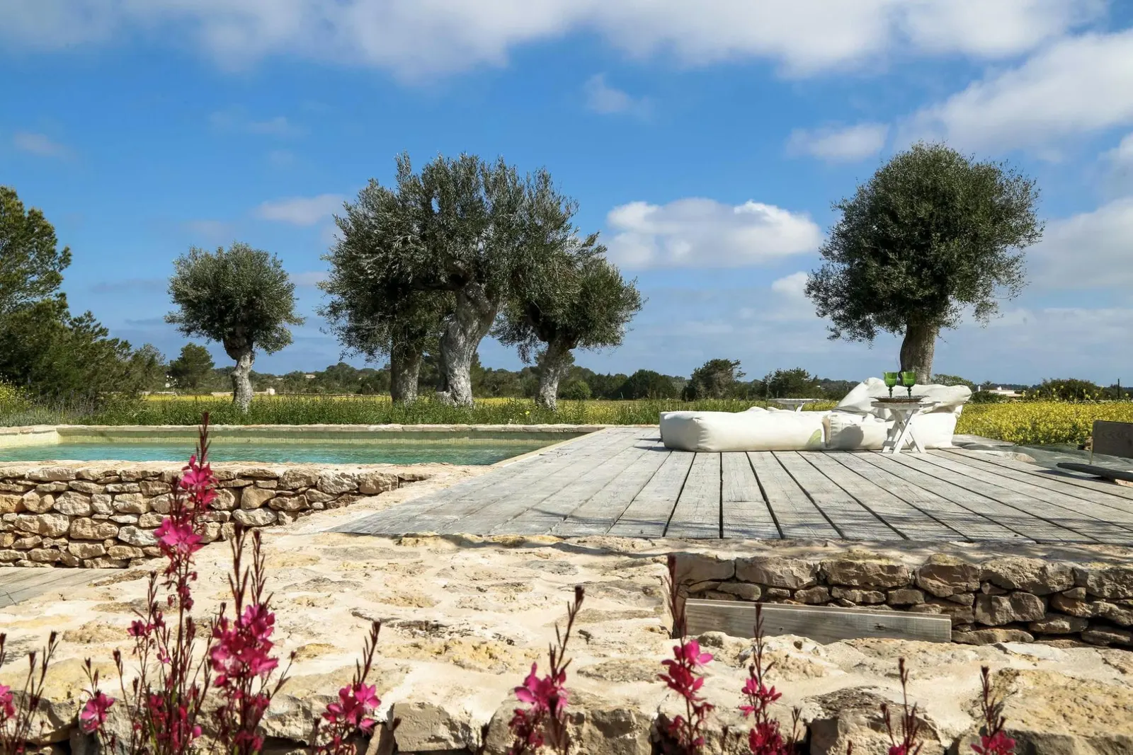 Vilă cu piscină în Formentera, fotografia 3