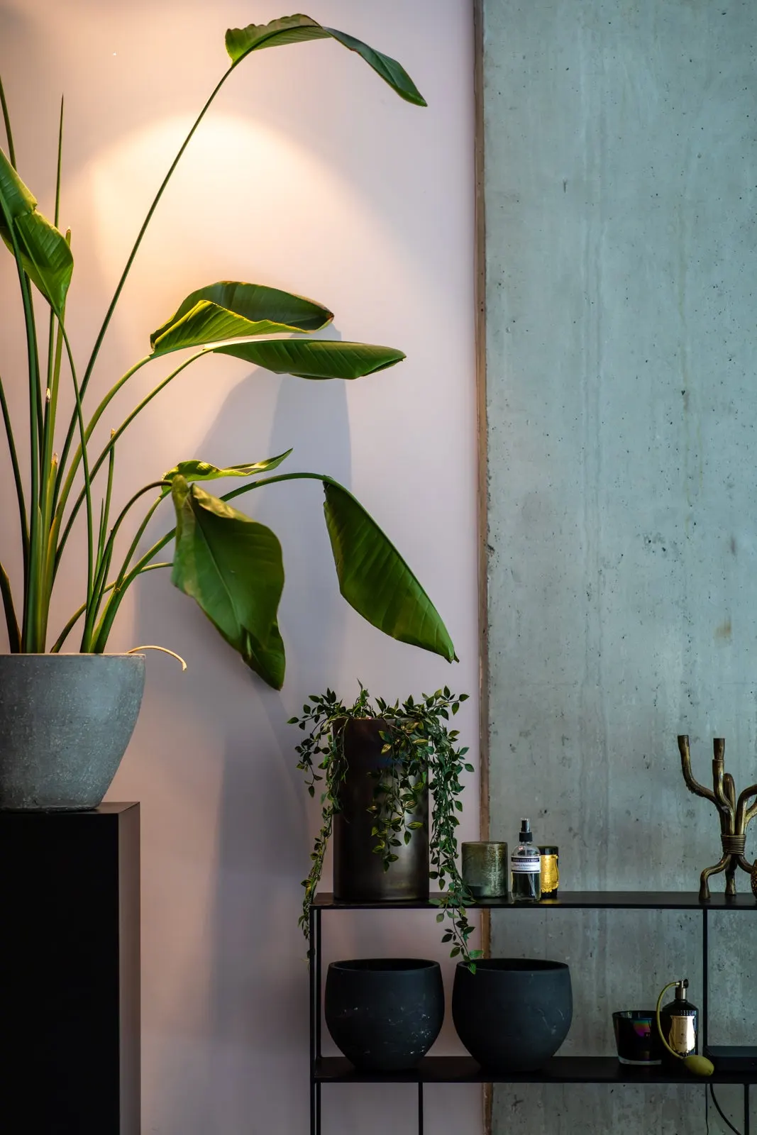 Apartament cu 3 dormitoare în Rotterdam, fotografia 32