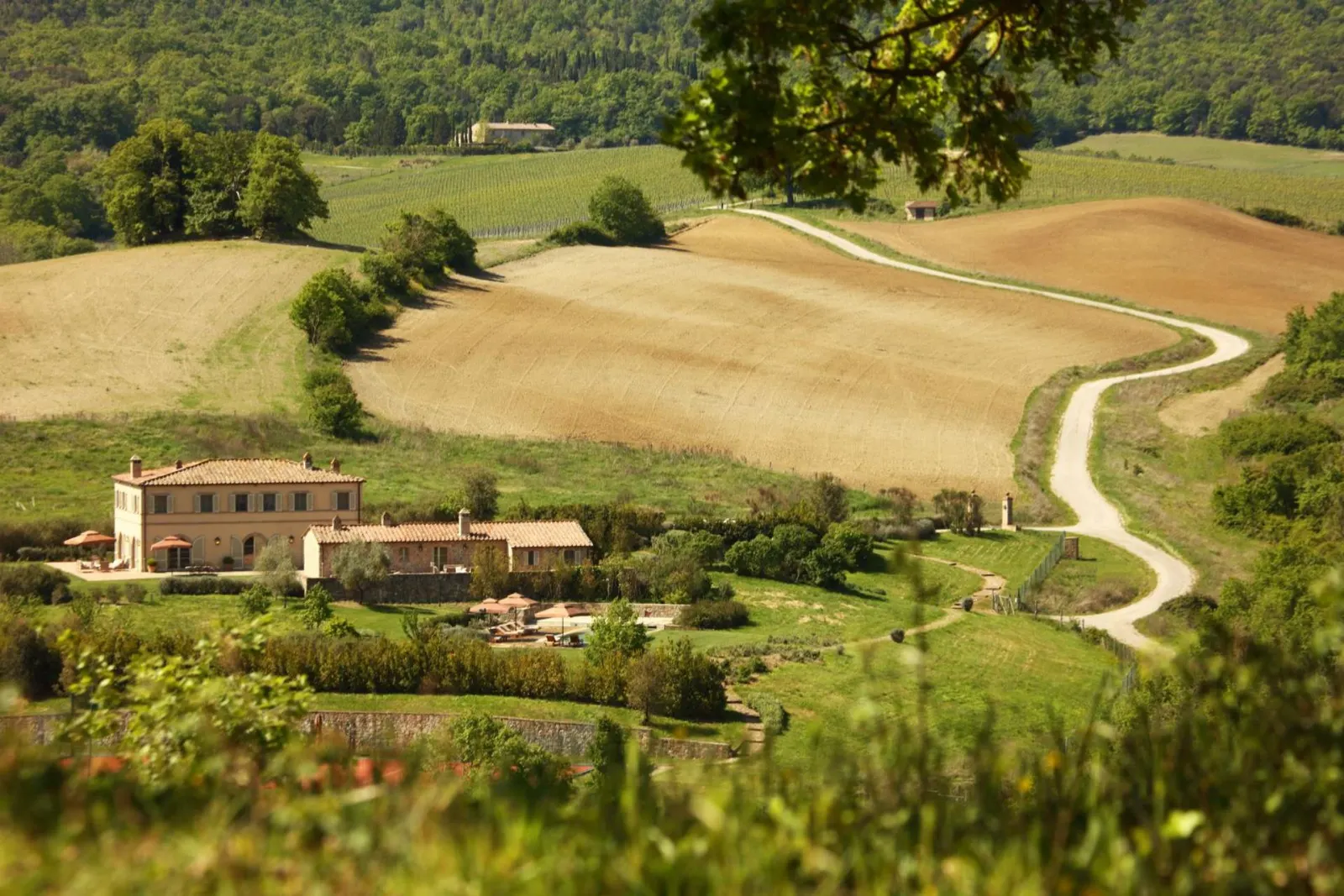 Vilă cu piscină încălzită și spa în Montalcino, fotografia 2