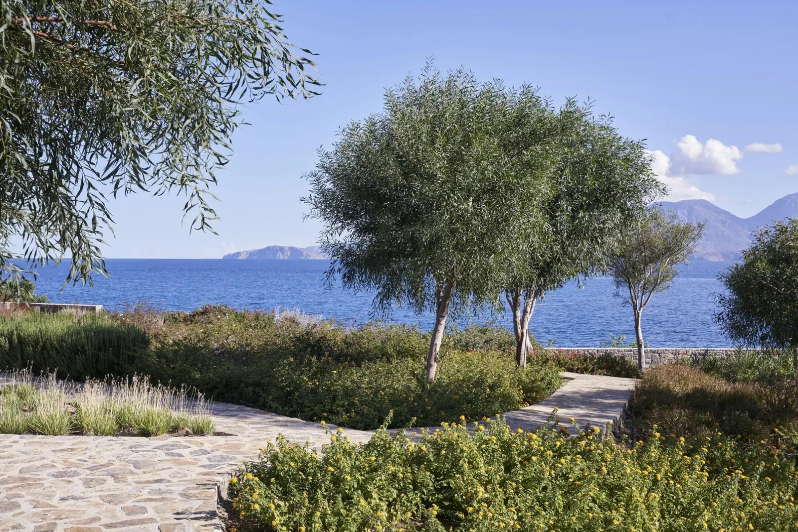 6-Bed Villa with Heated pool, Agios Nikolaos Municipal Unit, photo 8