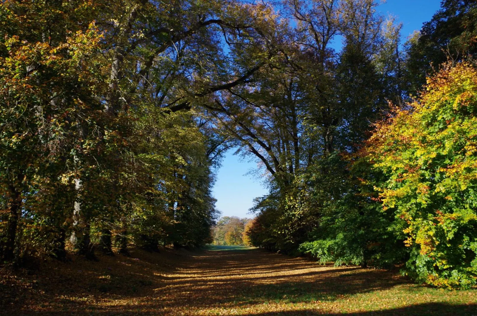 Vilă cu 16 dormitoare în Villers-Bocage, fotografia 8