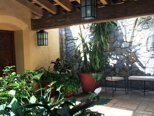 7 nopți la 4-Bedroom Villa in Puerto Vallarta, fotografia 4