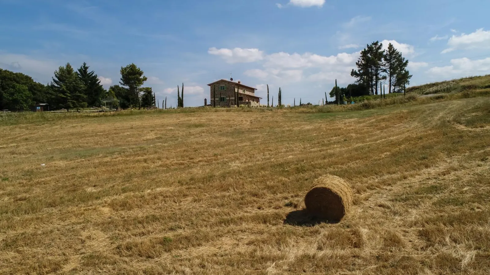Vilă cu 5 dormitoare în Radicofani, fotografia 30