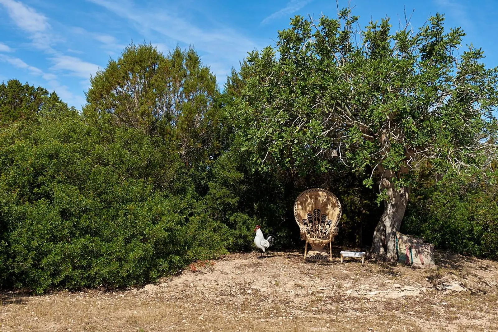 Vilă pentru 12 persoane în Formentera, fotografia 9