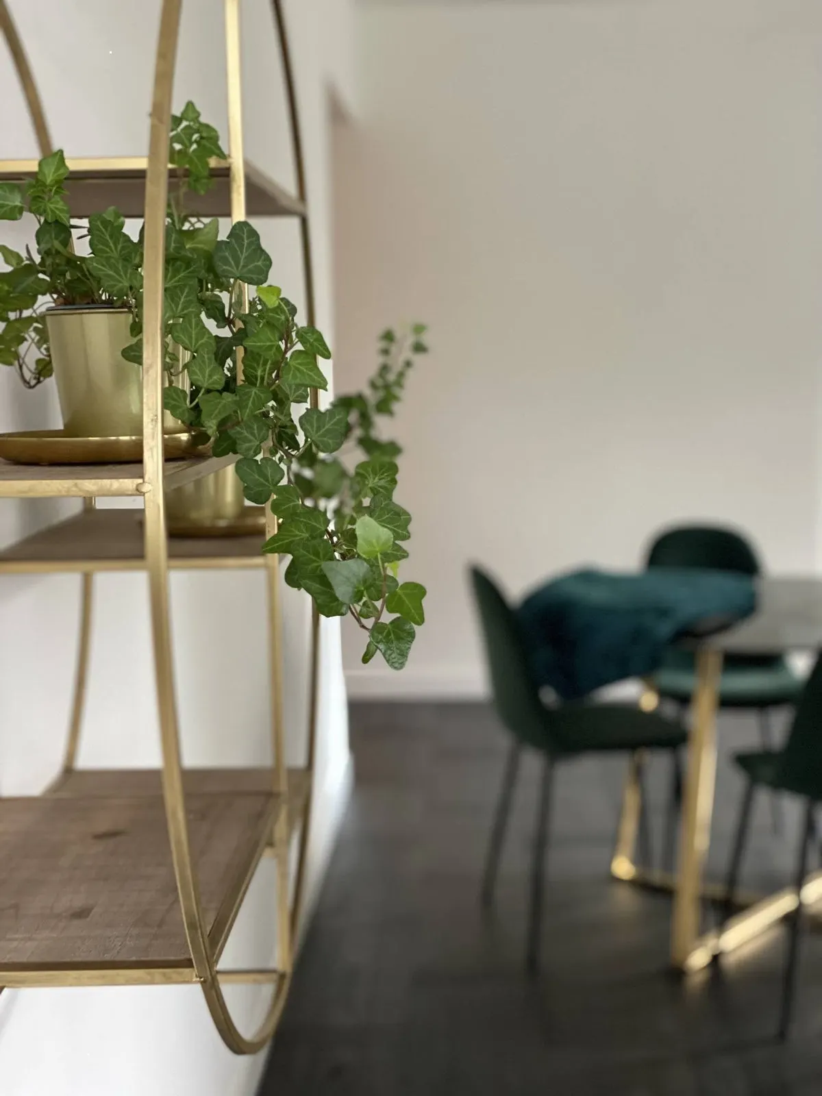 Apartament pentru 5 persoane în Rotterdam, fotografia 14