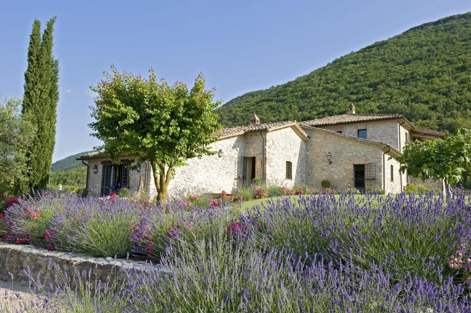 Villa with Heated pool and Jacuzzi in Perugia, photo 15