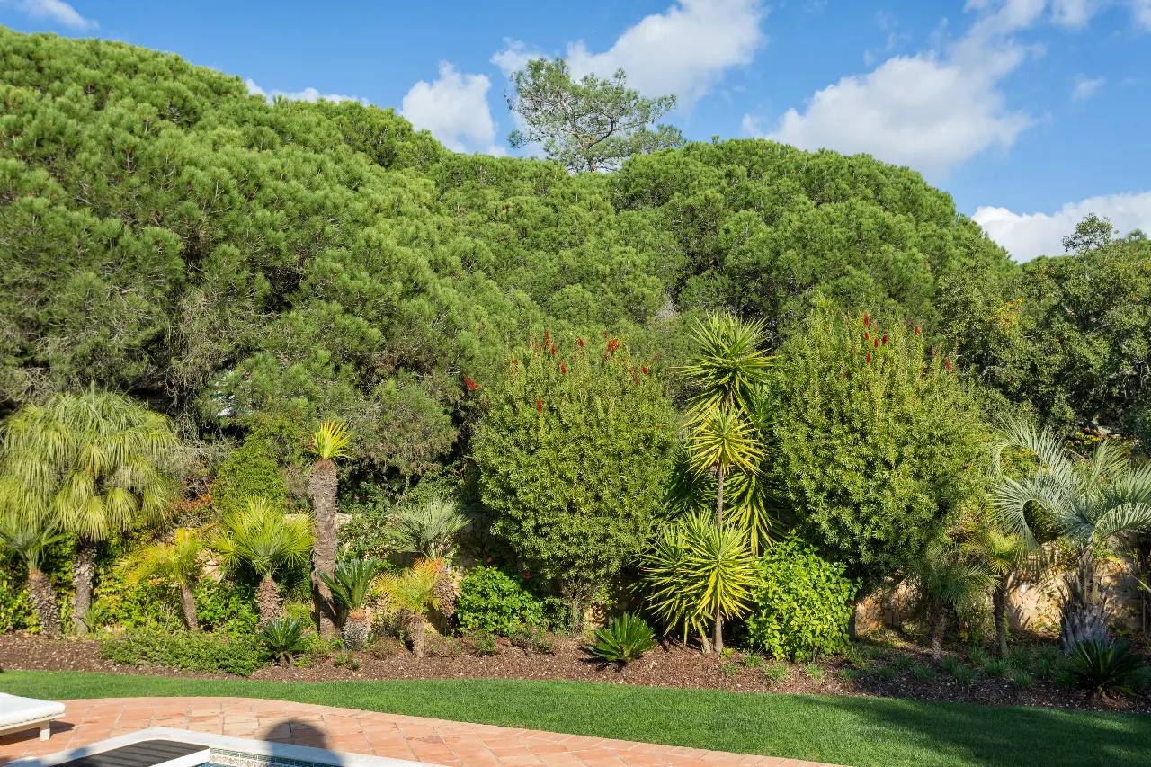 Villa for 10 Guests in Almancil, photo 4