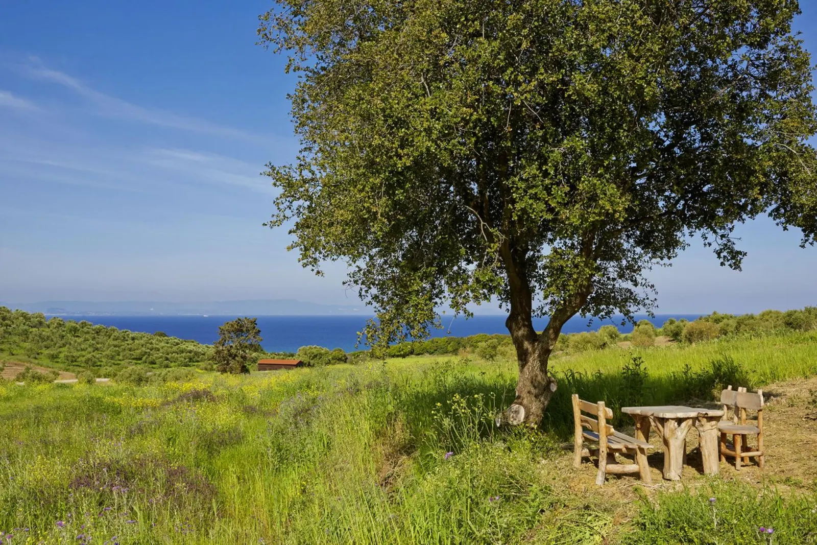 7 nopți la Estate with Heated pool and Sea view in Municipal Unit of Kastro - Kyllini, fotografia 6