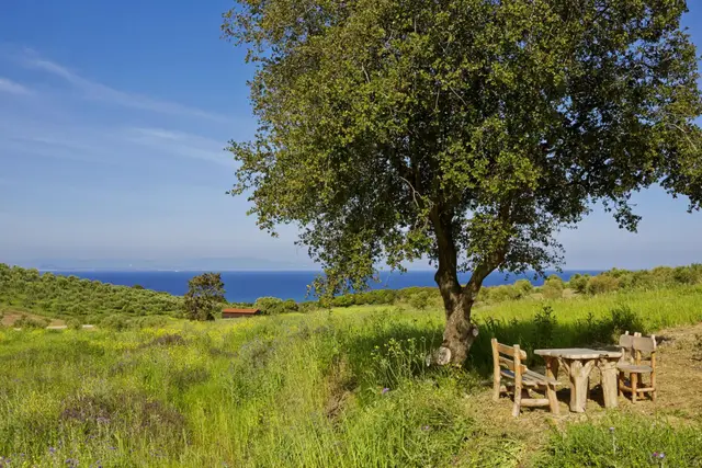 7 nopți la Estate with Heated pool and Sea view in Municipal Unit of Kastro - Kyllini, fotografia 6