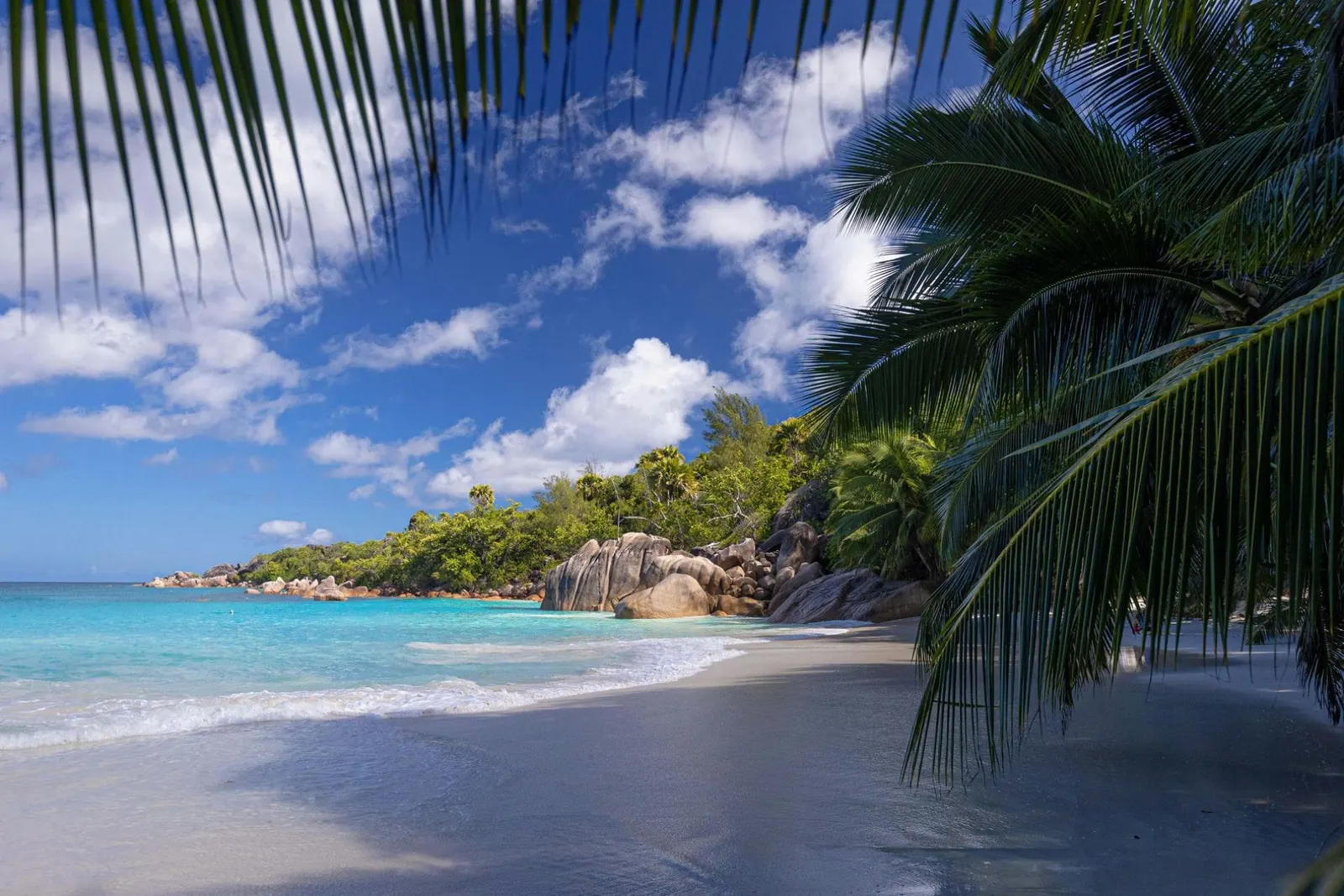 Vilă pentru 18 oaspeți în Baie Sainte Anne Praslin, fotografia 43